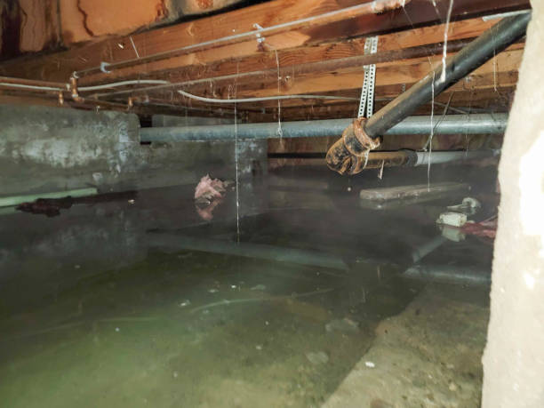Best Water damage cleanup near me  in Central, TN