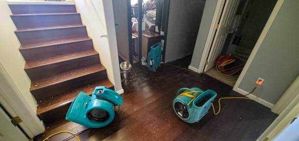 Best Local water damage restoration  in Central, TN