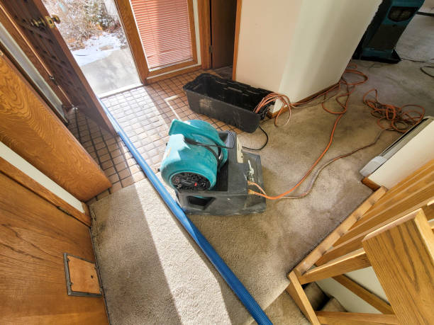 Best Commercial water damage restoration  in Central, TN
