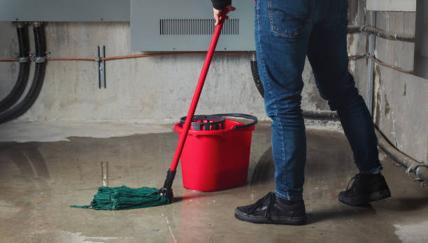 Best Flooded house restoration  in Central, TN