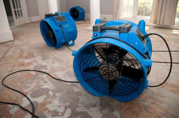  Central, TN Water damage restoration Pros