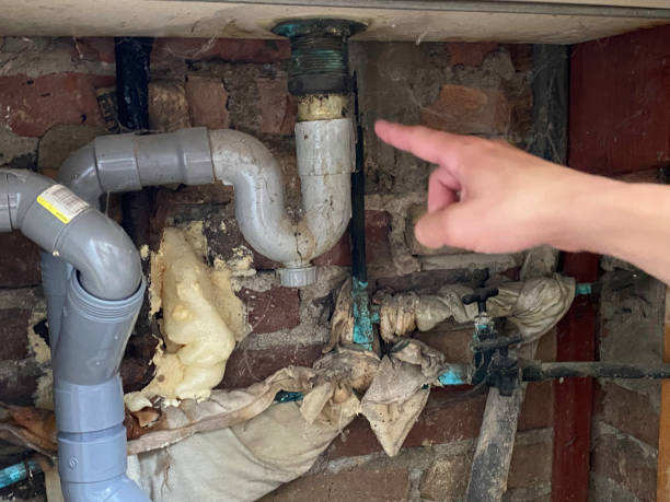 Best Mold removal after water damage  in Central, TN
